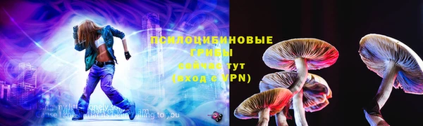 ALPHA PVP Осинники