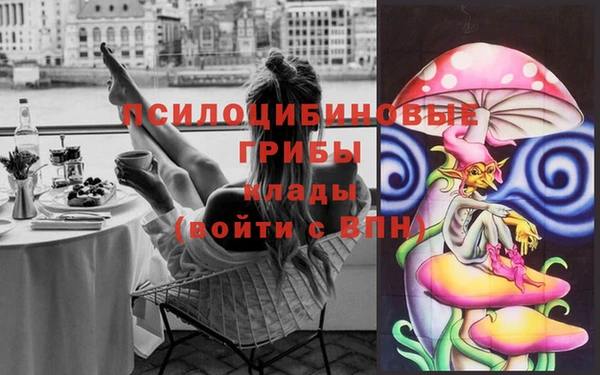 не бодяженный Абаза
