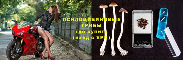 не бодяженный Абаза