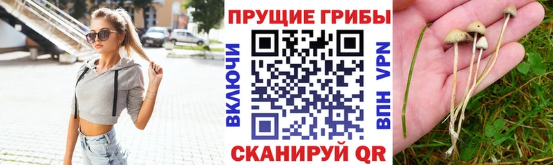 Галлюциногенные грибы ЛСД Шали
