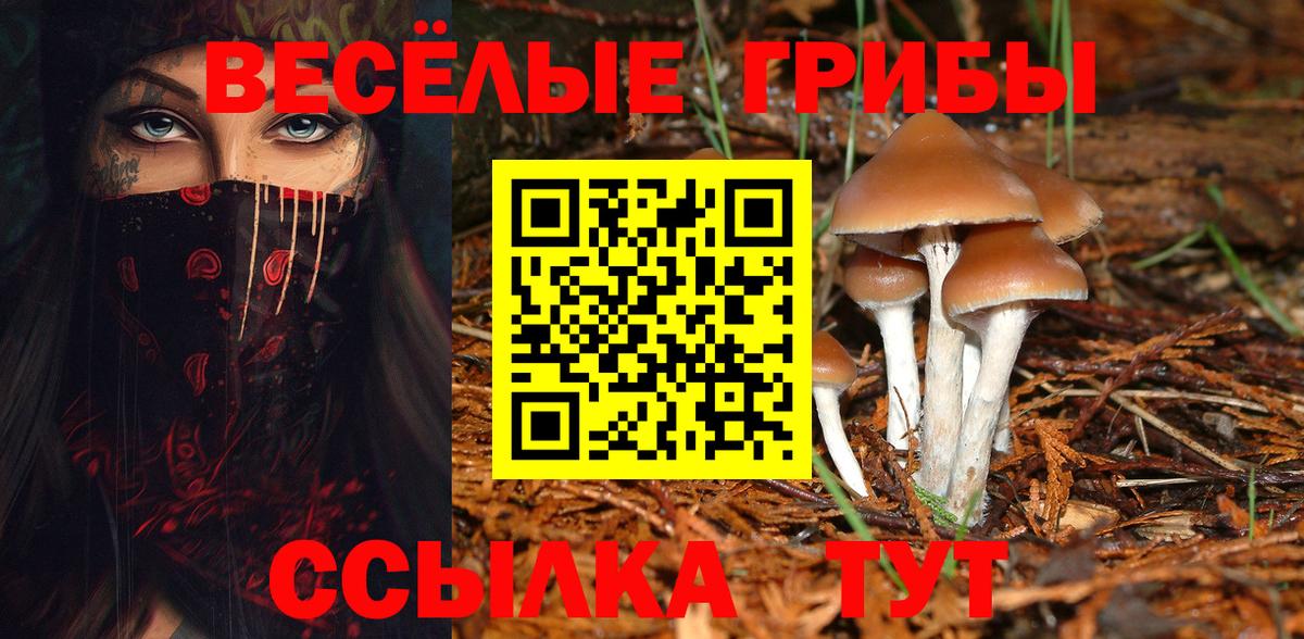 Галлюциногенные грибы ЛСД Шали